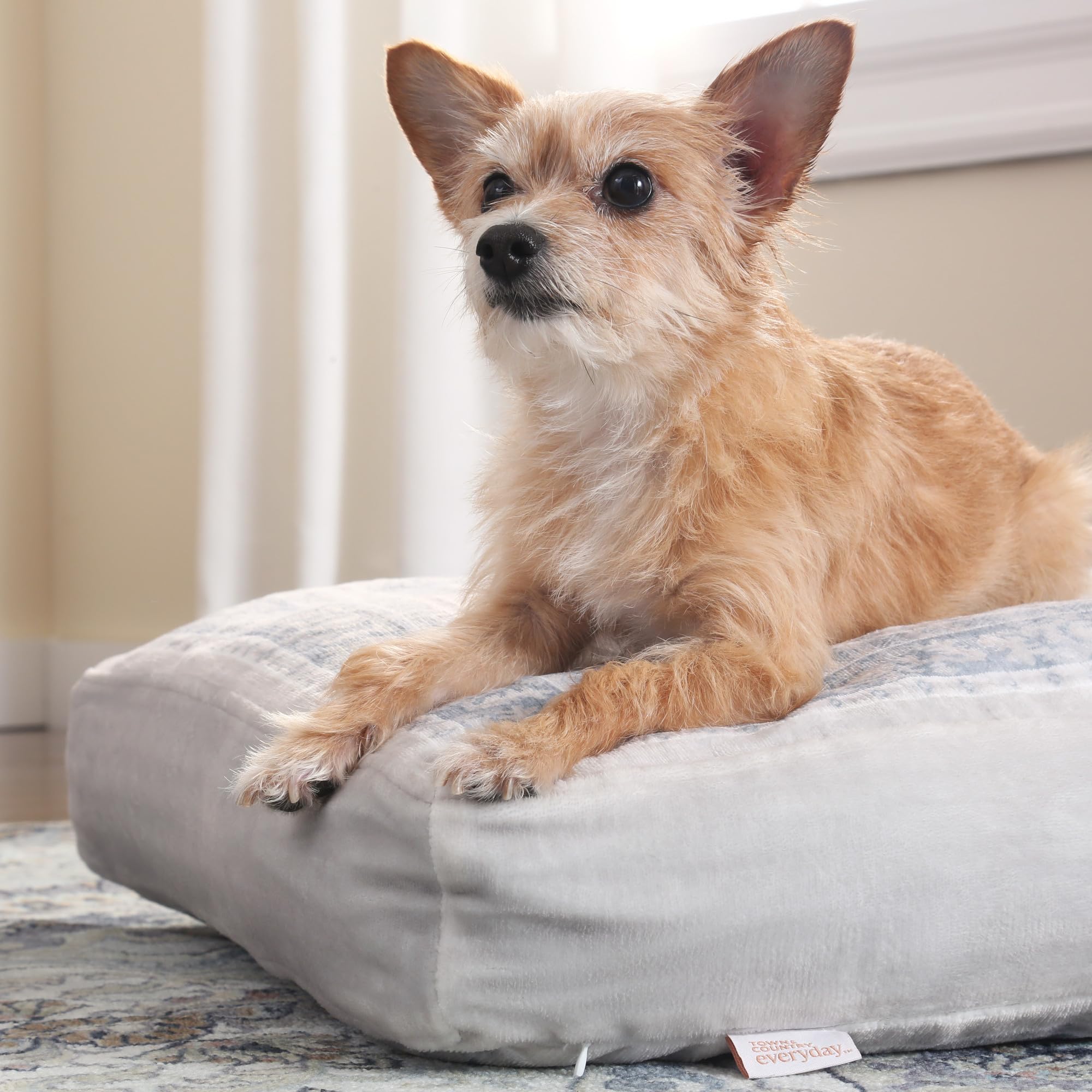 Town & Country Everyday CuddleTown taille moyenne 36x28x4 pour animaux de taille moyenne.