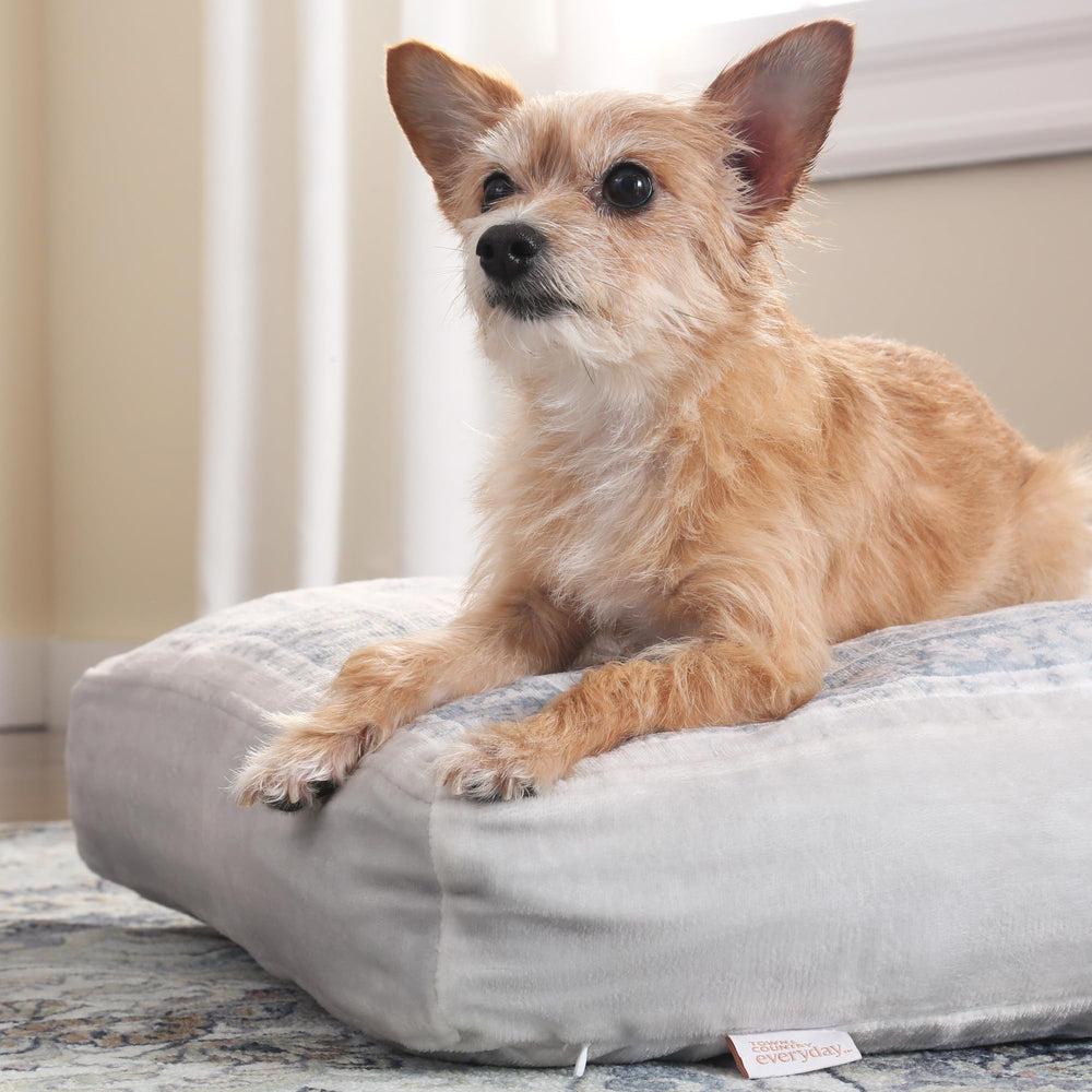 Town & Country Everyday CuddleTown taille moyenne 36x28x4 pour animaux de taille moyenne.