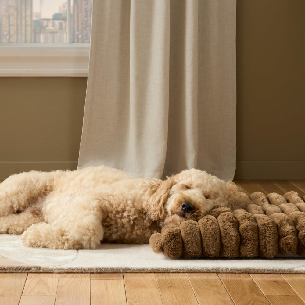 Town & Country Luxe CuddleTown — coussin intégré pour un soutien du cou pendant le repos.