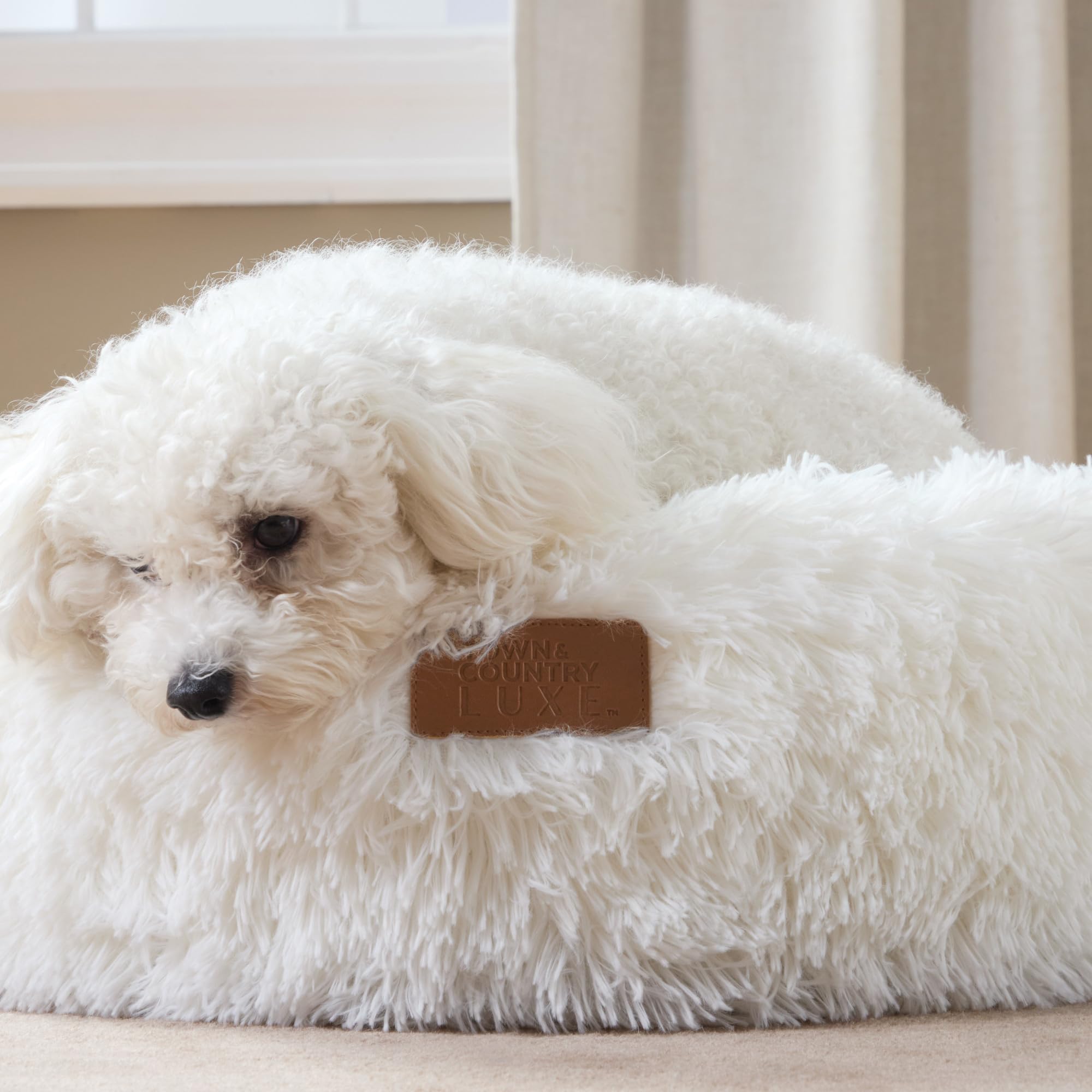 Oreiller central du lit donut crème Town & Country Luxe CuddleTown, soutien confortable.