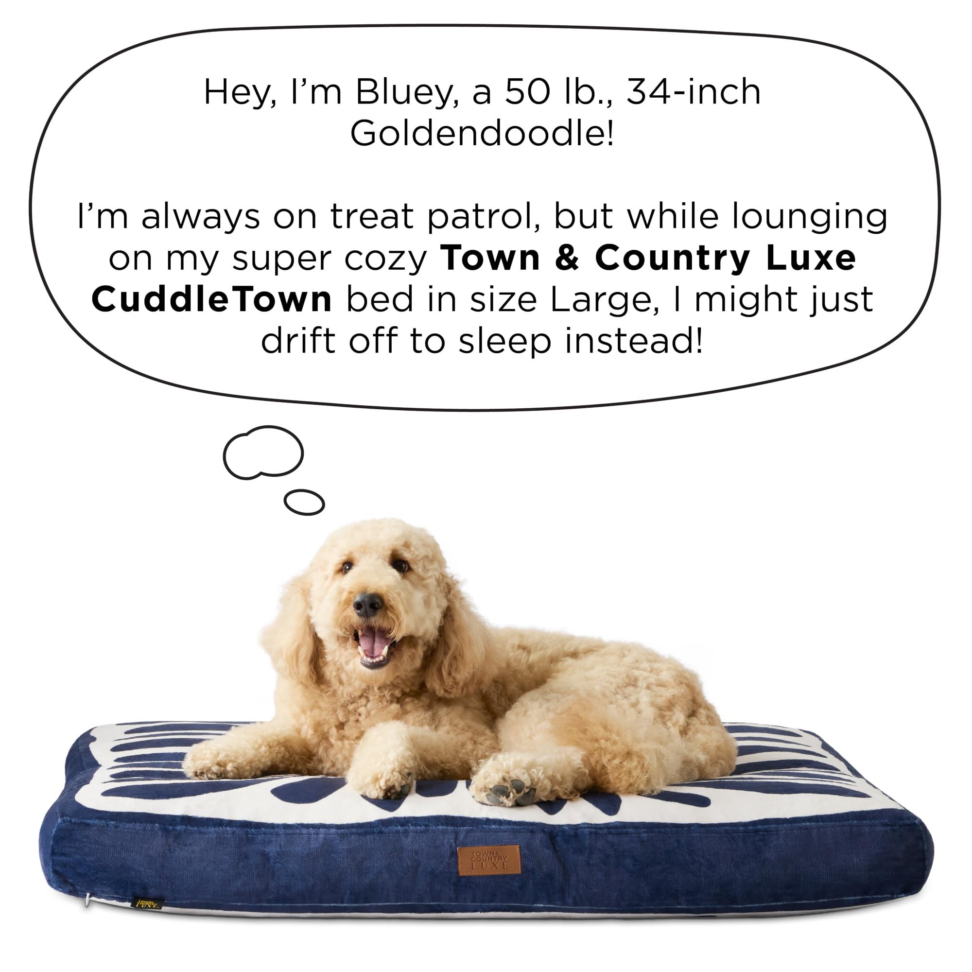 Town & Country Luxe CuddleTown Matisse Everwash: grande taille idéale pour espaces de vie.