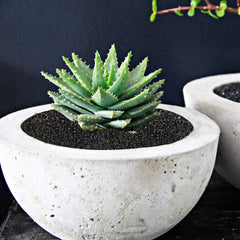 TOYPOPOR gravier décoratif-noir pour intérieur et jardin; utilisation polyvalente.