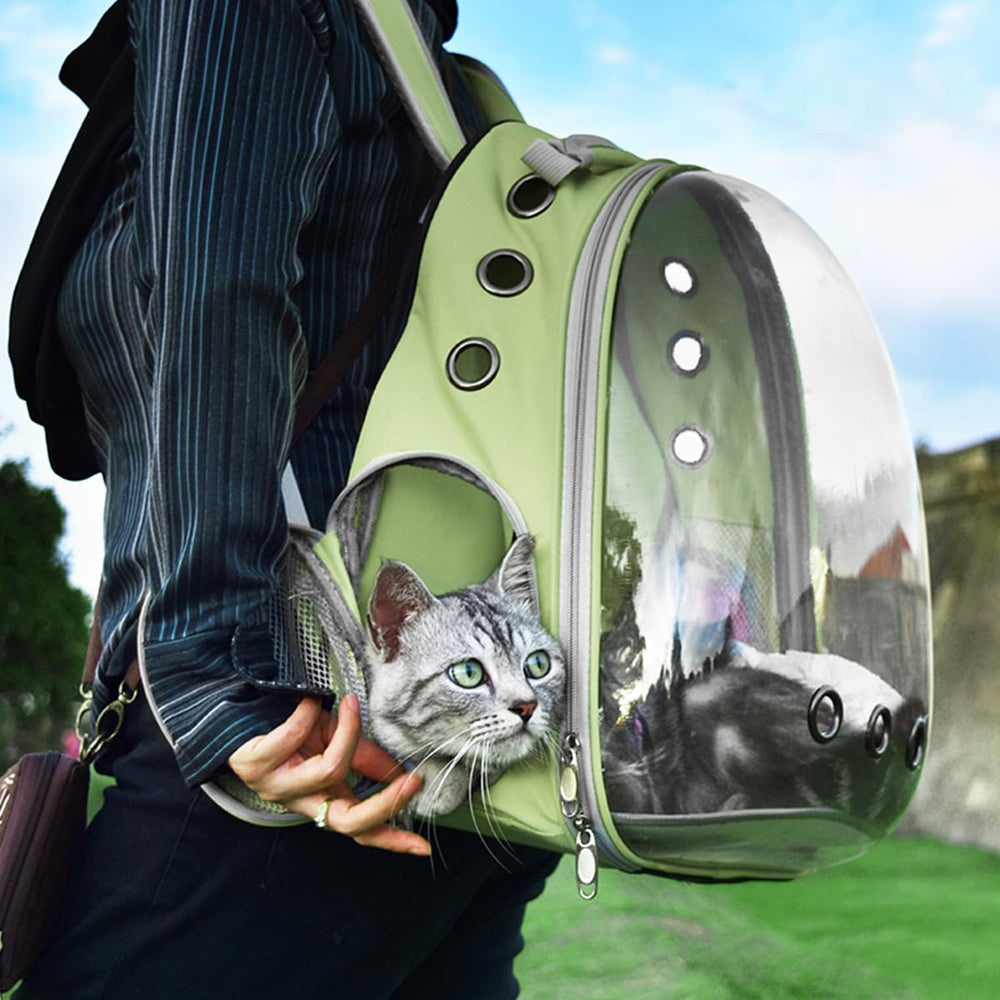 TOYSINTHEBOX approuvé avion pour déplacement avec animal.
