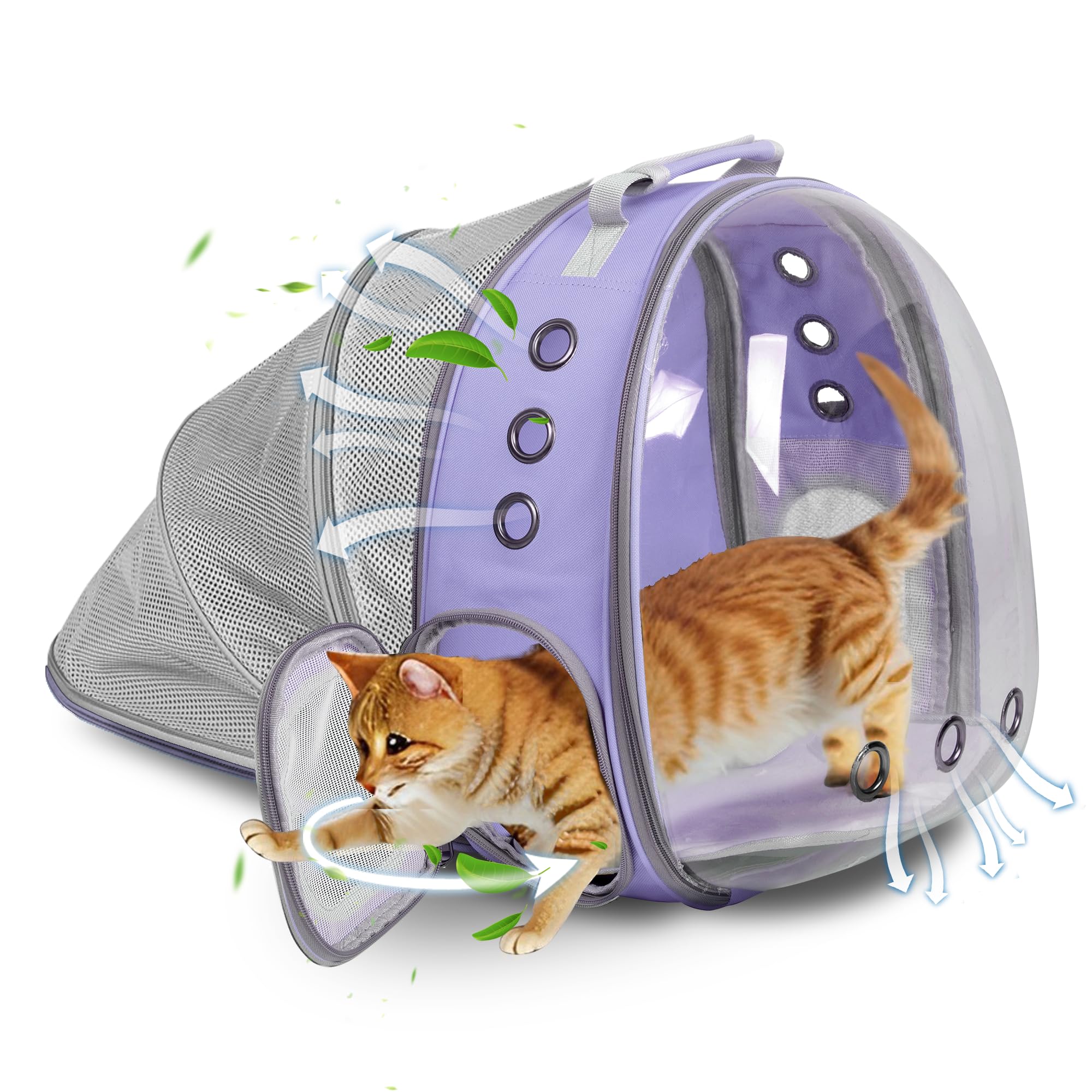 TOYSINTHEBOX sac-chat-chien bulle panoramique pour observation calme pendant les trajets
