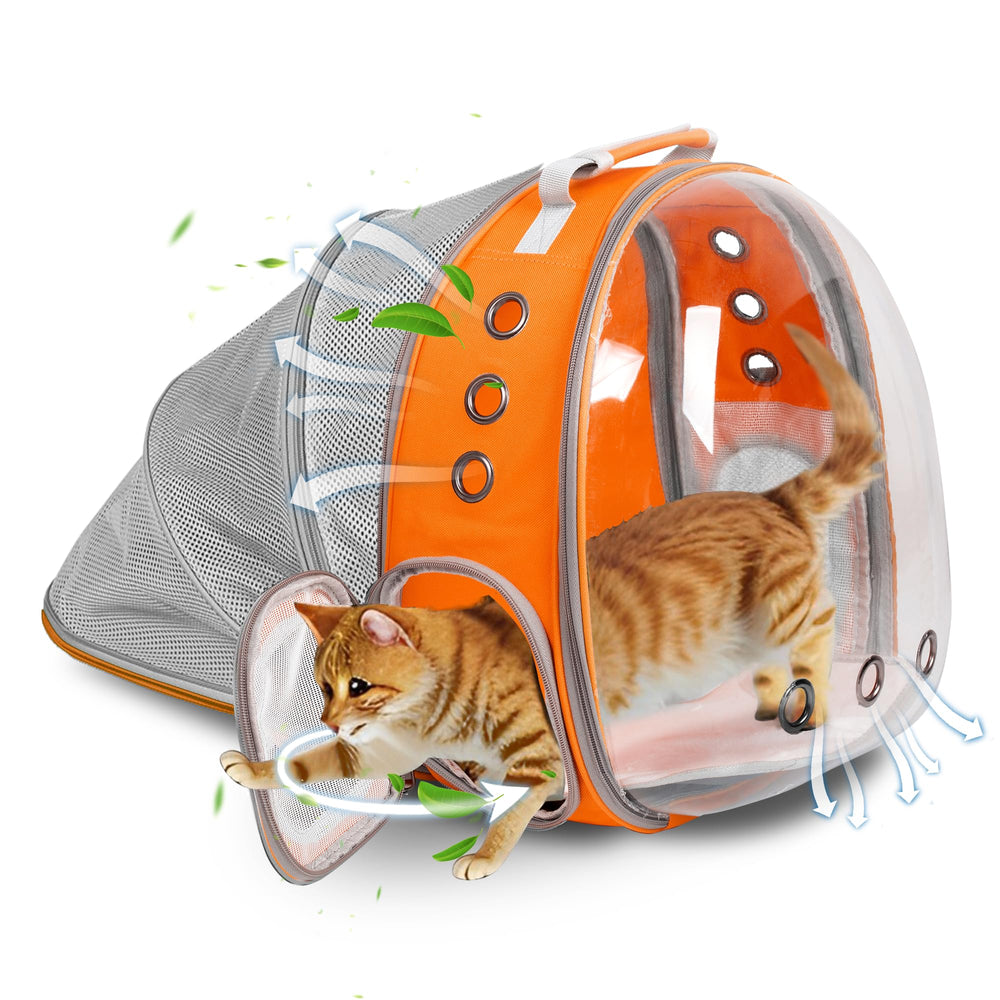 TOYSINTHEBOX sac porte-animal bulle panoramique pour un voyage serein avec votre chat.