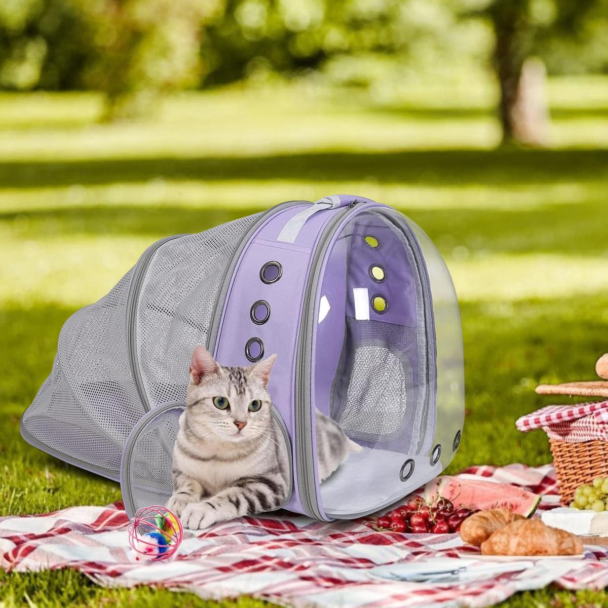 TOYSINTHEBOX utilisation-exterieur-animal idéal pour randonnée et promenade en plein air