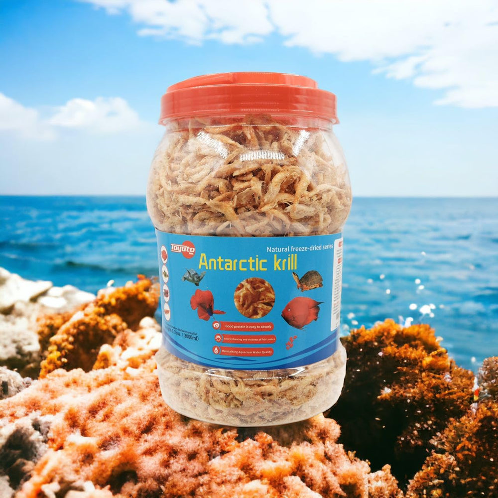 Toyuto Krill-Crevettes lyophilisés, portion facile à distribuer pour aquariums