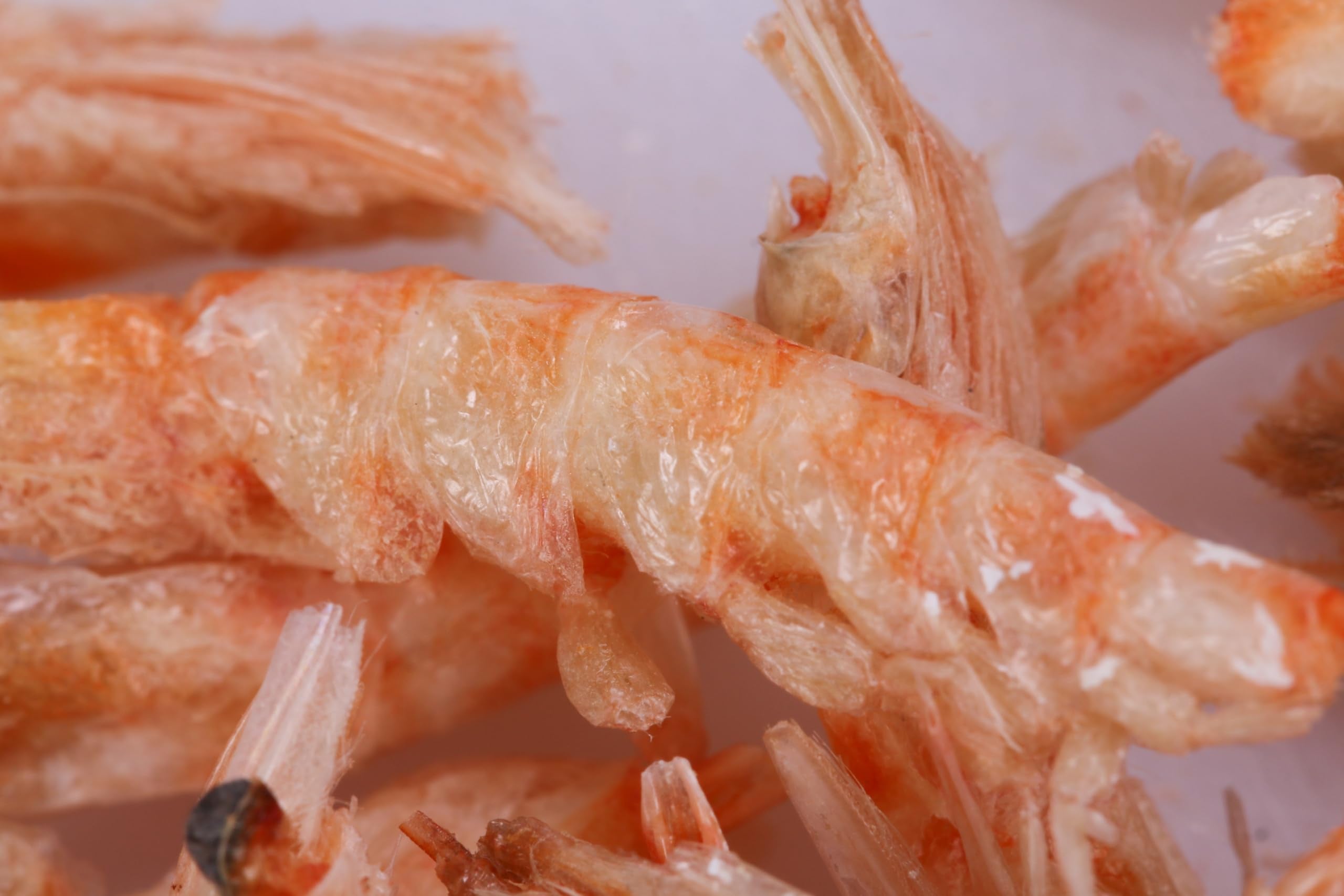 Toyuto Krill-Crevettes lyophilisés, peut aider à intensifier les couleurs des poissons