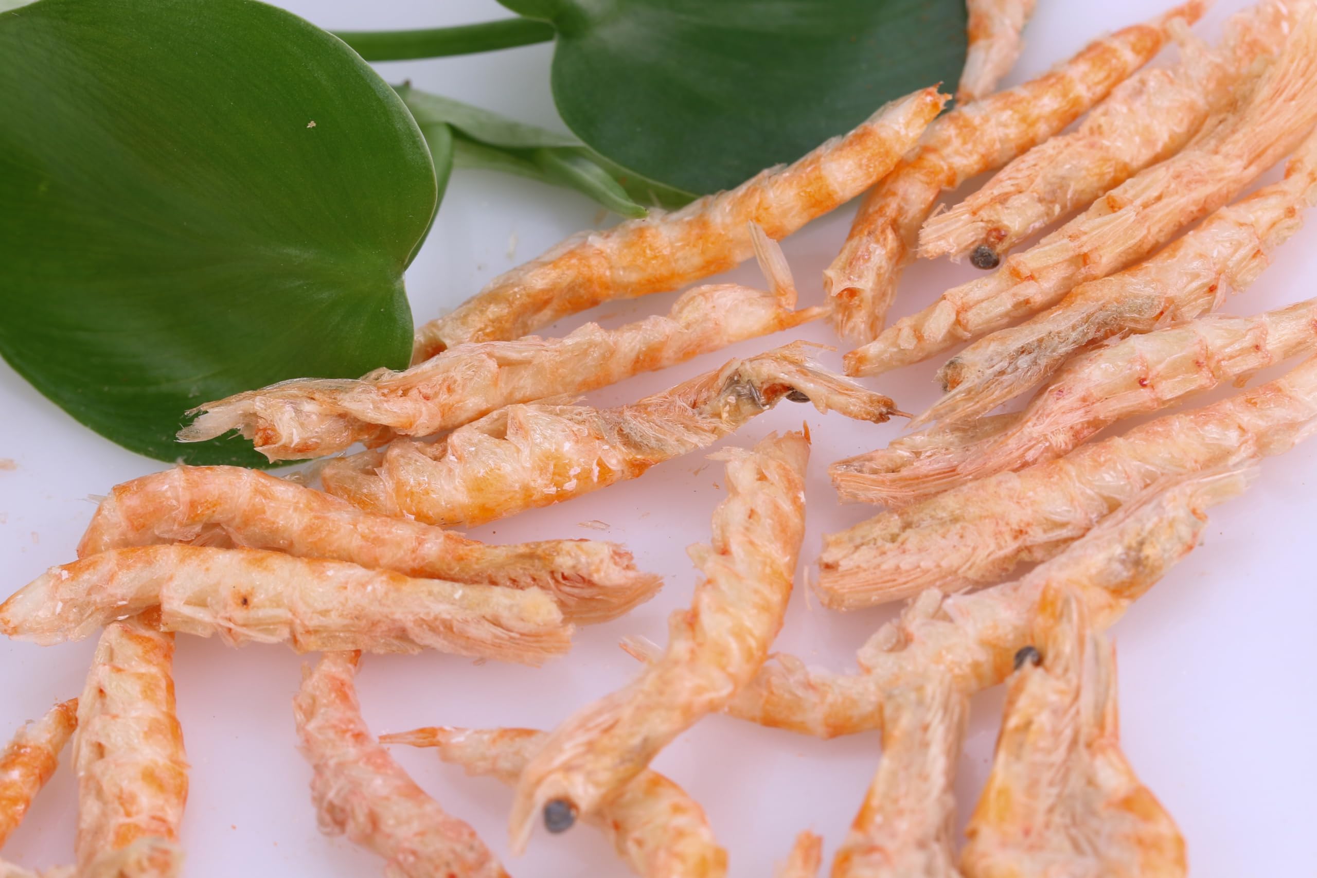 Toyuto Premium Krill-Crevettes lyophilisés, durable et issu de ressources respectueuses