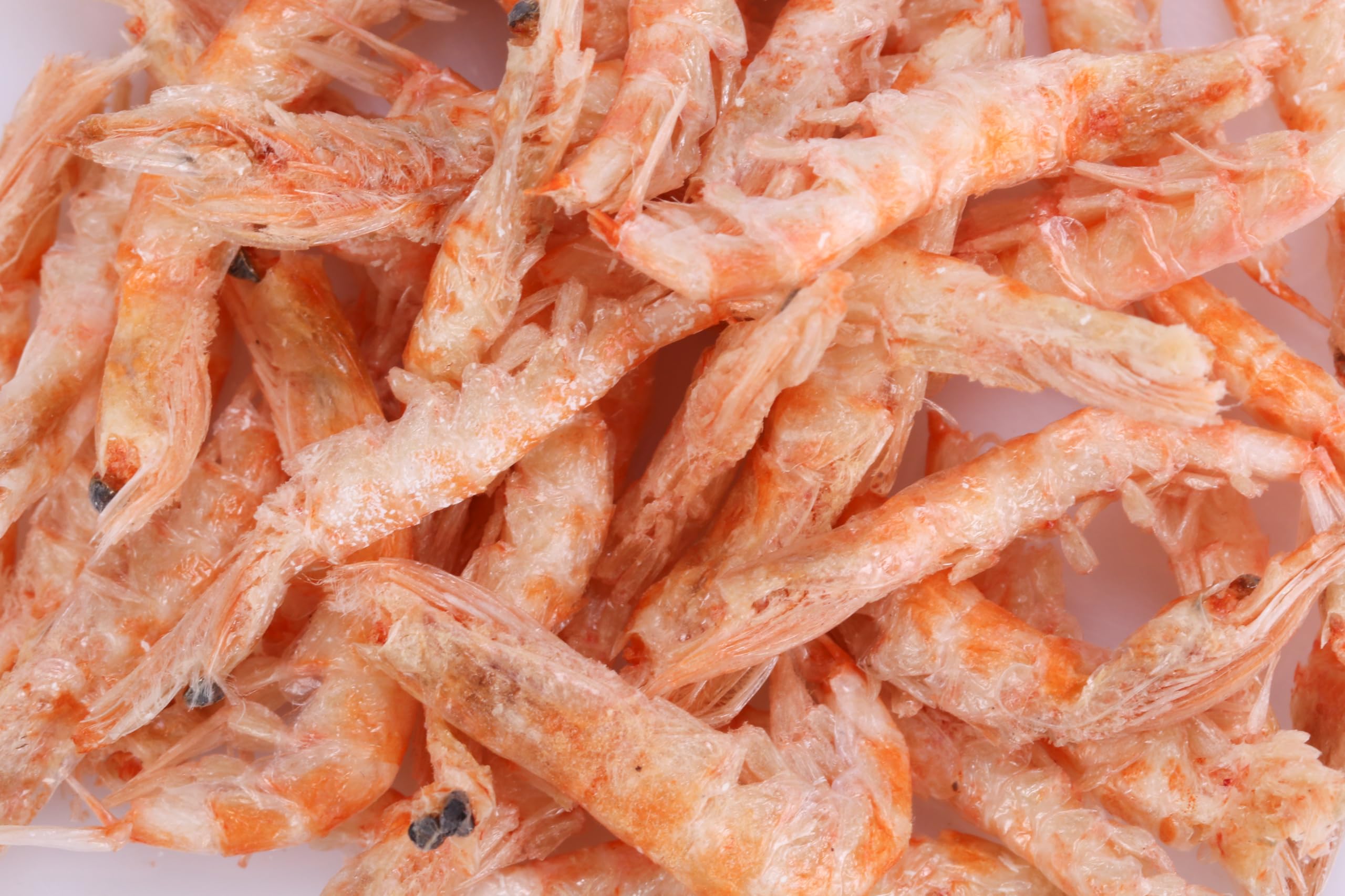 Toyuto Premium Krill-Crevettes lyophilisés, emballage grande capacité pour alimentation régulière