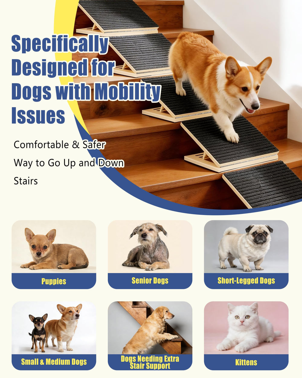 tozzwaig rampe pour petits chiens: parfaite pour escaliers bas et lits