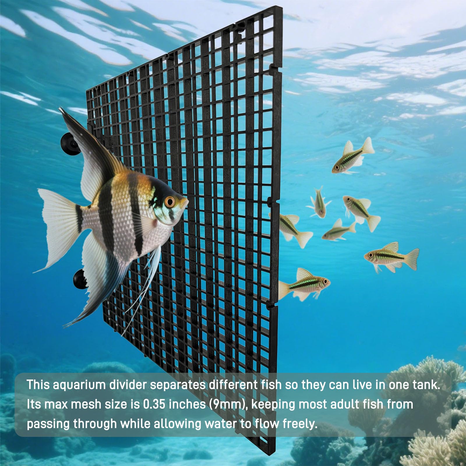 Conception compatible 10 à 55 galons pour divers aquariums avec flux d'eau.