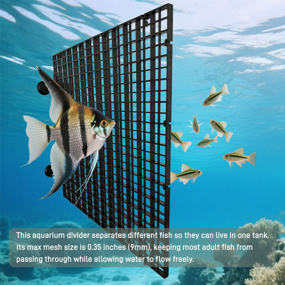 Conception compatible 10 à 55 galons pour divers aquariums avec flux d'eau.