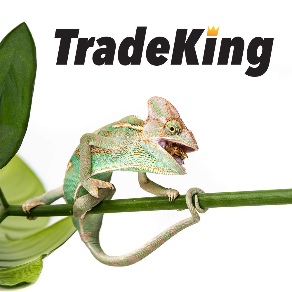 TradeKing criquets séchés – réhydratation rapide avant repas pour poissons.