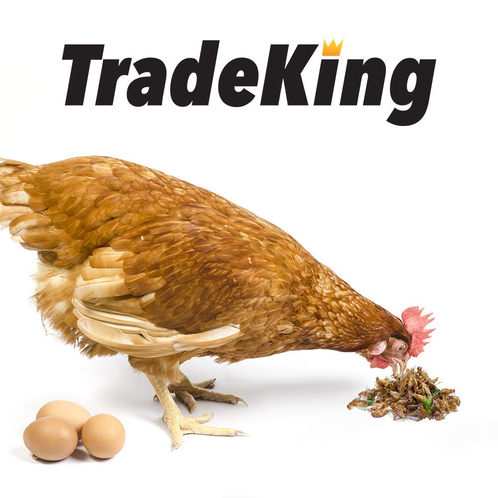 TradeKing criquets séchés – alimentation réptile facile et croquante.