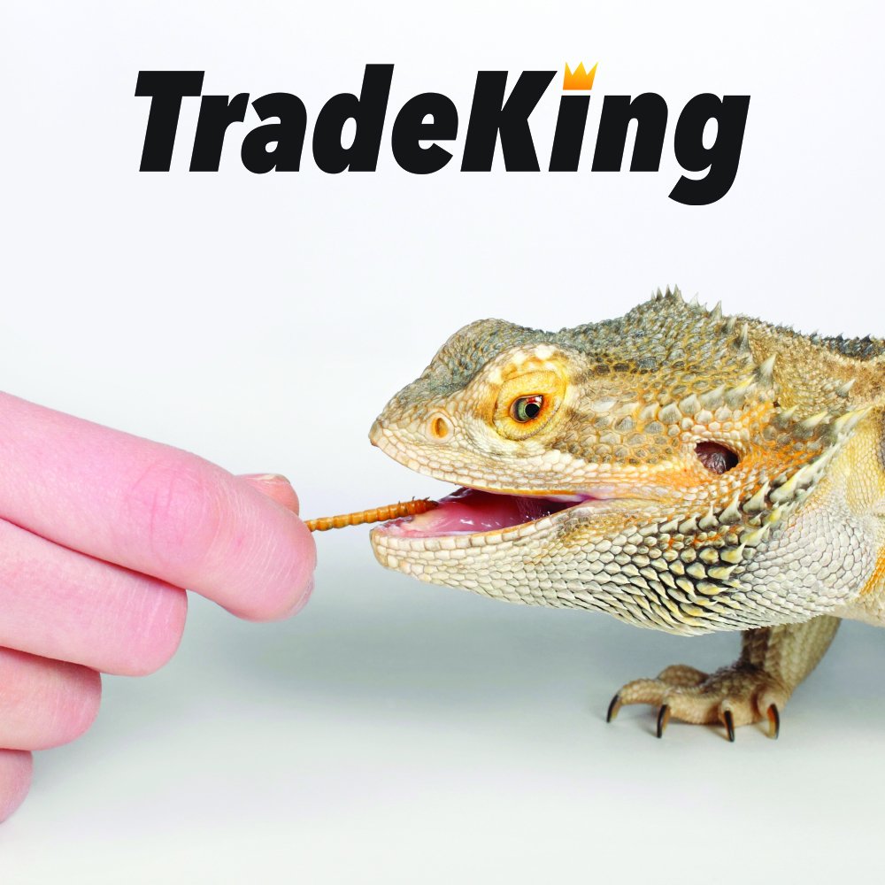 TradeKing vers de farine séchés utiles pour poissons et reptiles
