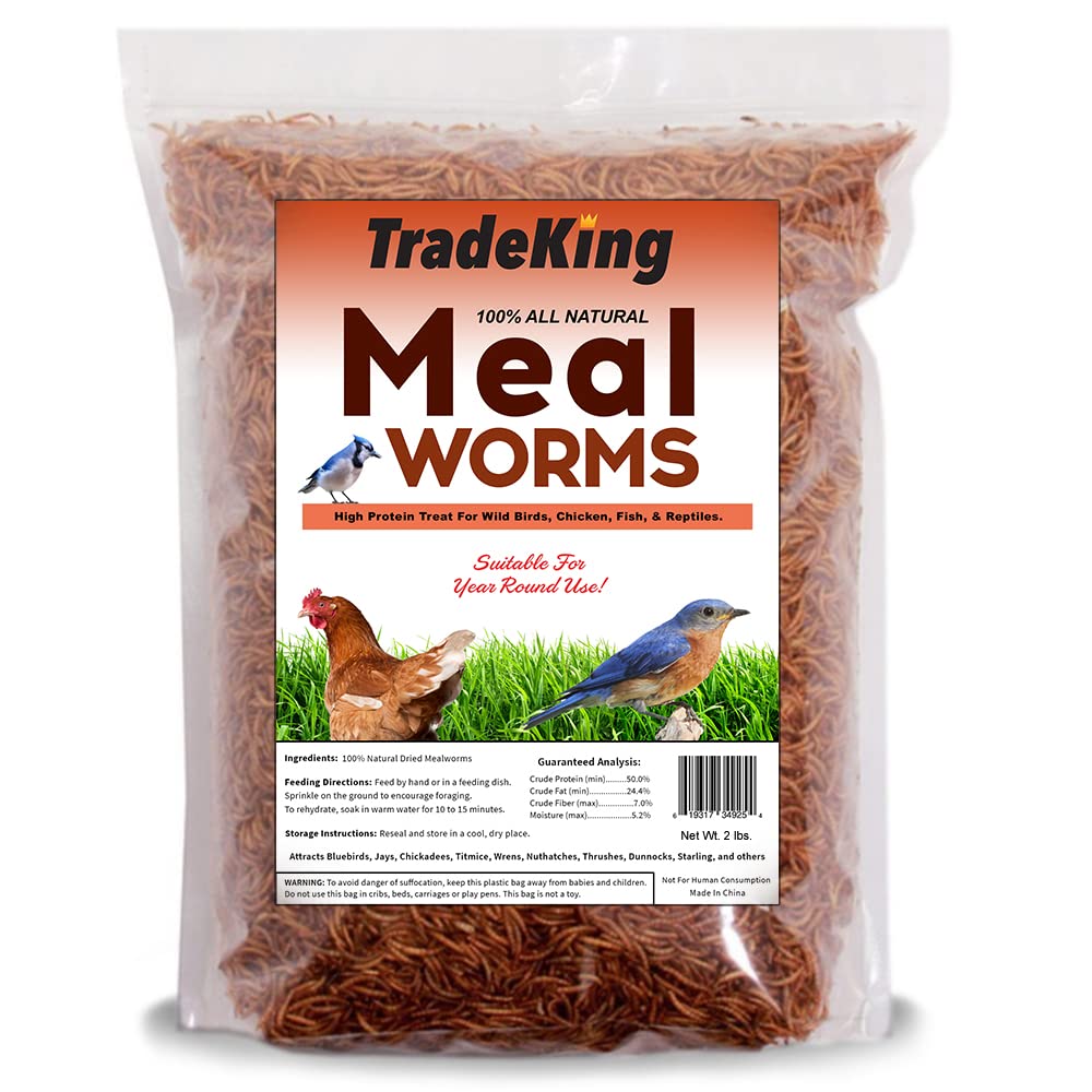 TradeKing vers de farine sèches dans sachet refermable pour stockage pratique