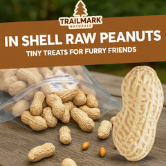 Trailmark Naturals cacahuètes crues en coque sans sel, option naturelle pour les mangeoires.