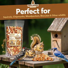Trailmark Naturals écureuil grignotant cacahuètes, snack protéiné pour la faune