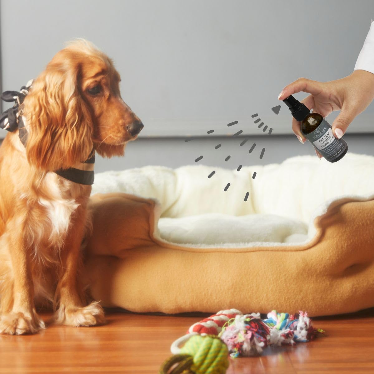 Tranquil Tails Pet Zen brume dans le transporteur, voyages plus sereins