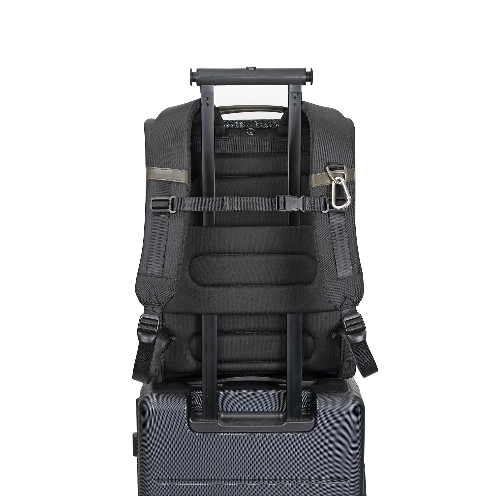Traveler's Choice Argo interieur a mailles resistantes, protege les griffes