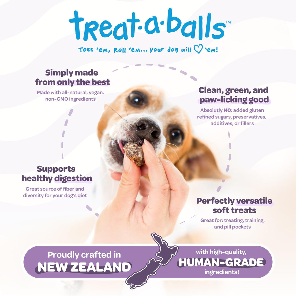 TREAT-A-BALLS balle-banane-myrtilles, collation saine et gourmande pour chiens.