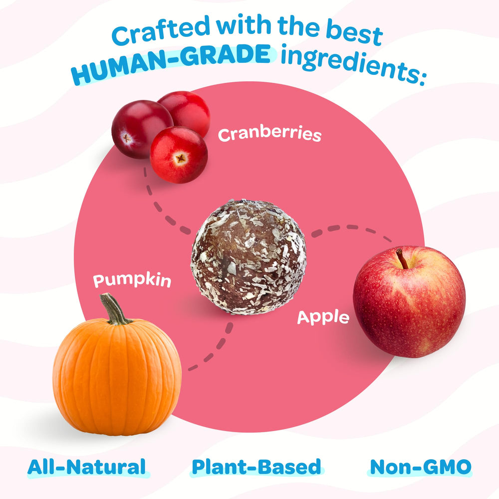 Ingrédients naturels Treat-A-Balls sans additifs artificiels.