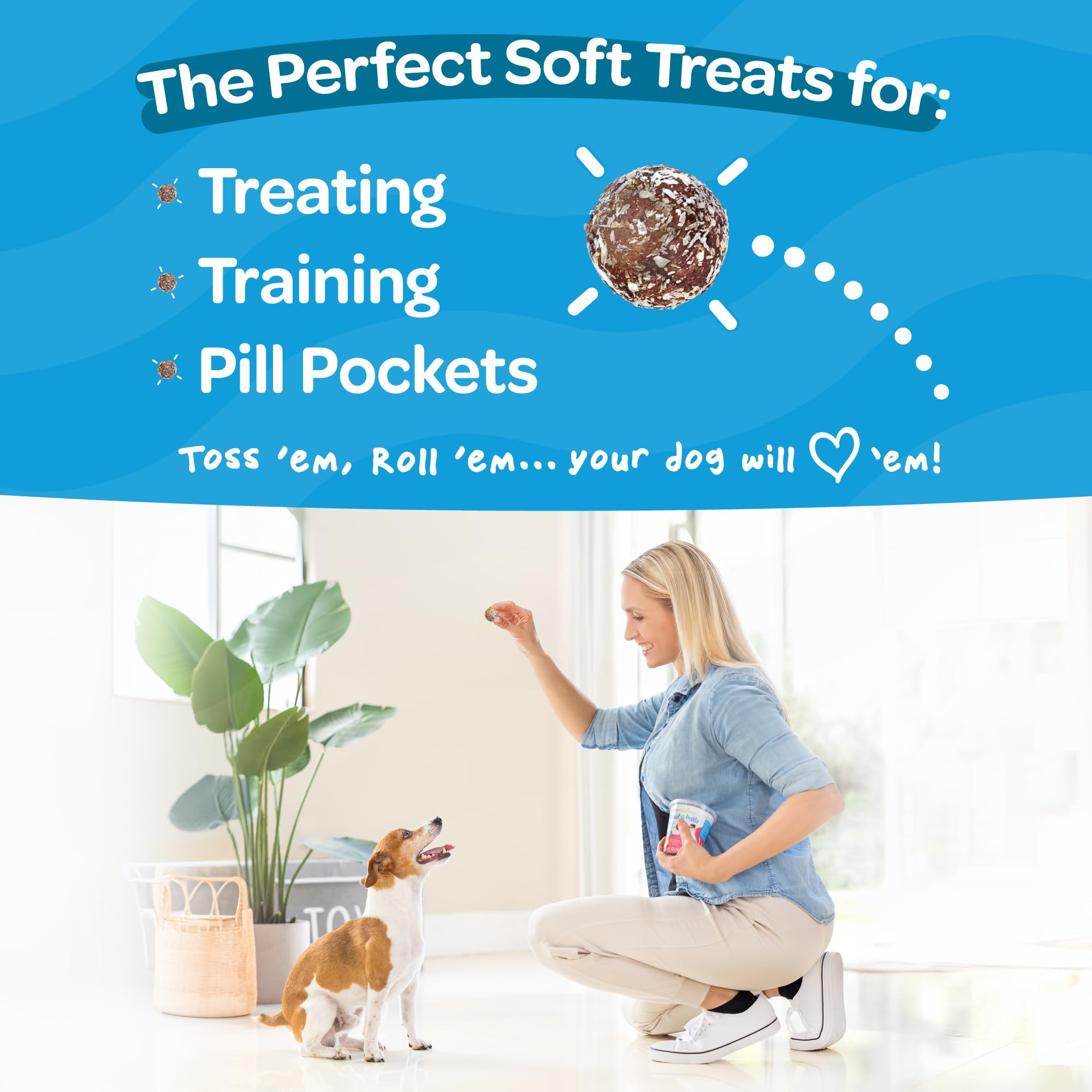 Poches pour pilules Treat-A-Balls facilitent l'administration des medicaments.