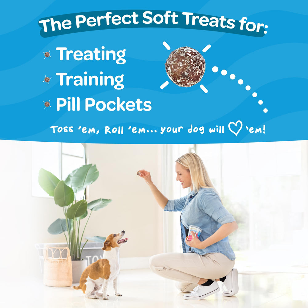Poches pour pilules Treat-A-Balls facilitent l'administration des medicaments.