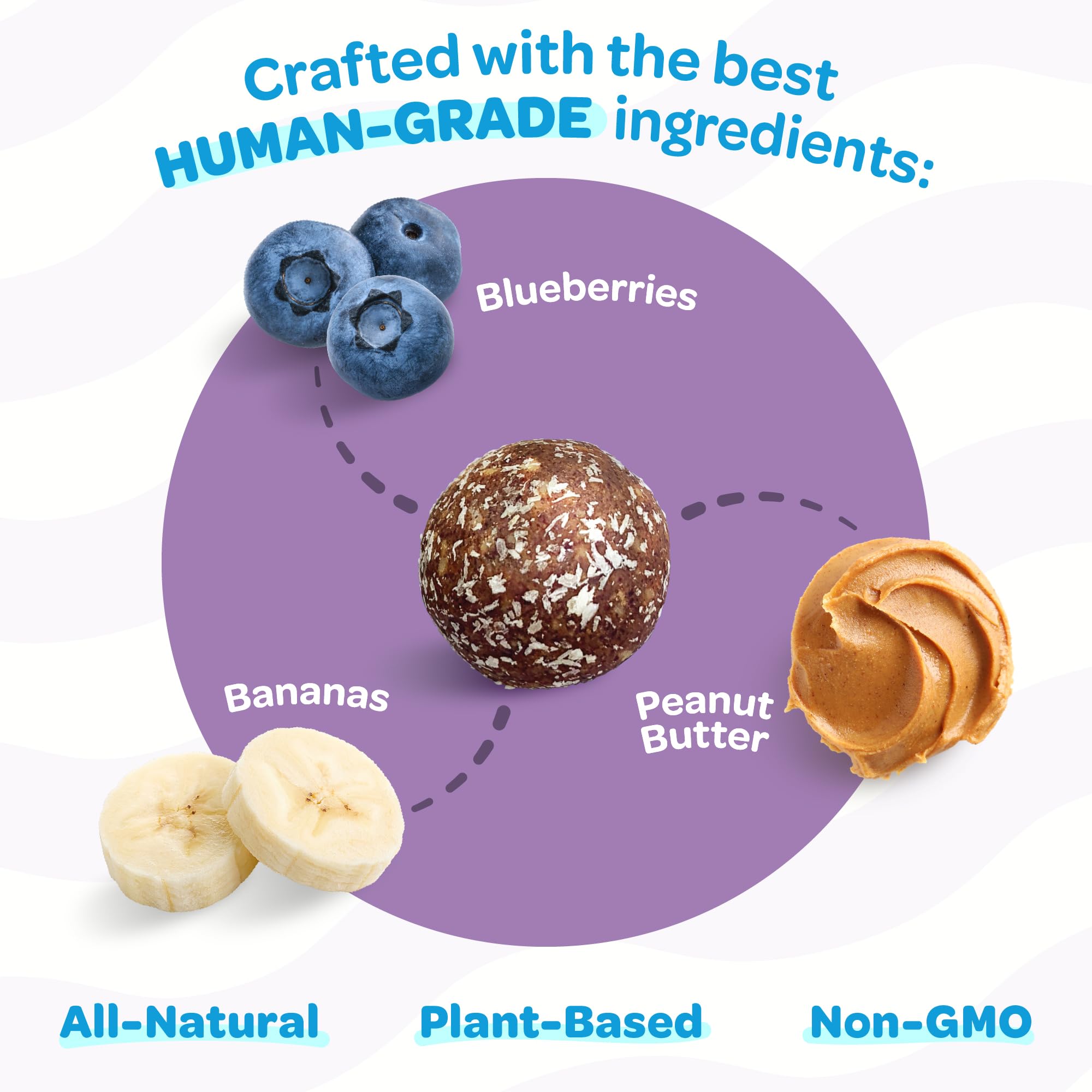 TREAT-A-BALLS balle-banane-myrtilles, sans céréales et faible en calories.