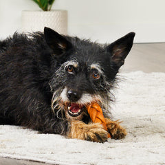 Treatly emballage frais et pratique pour récompenser votre chien.
