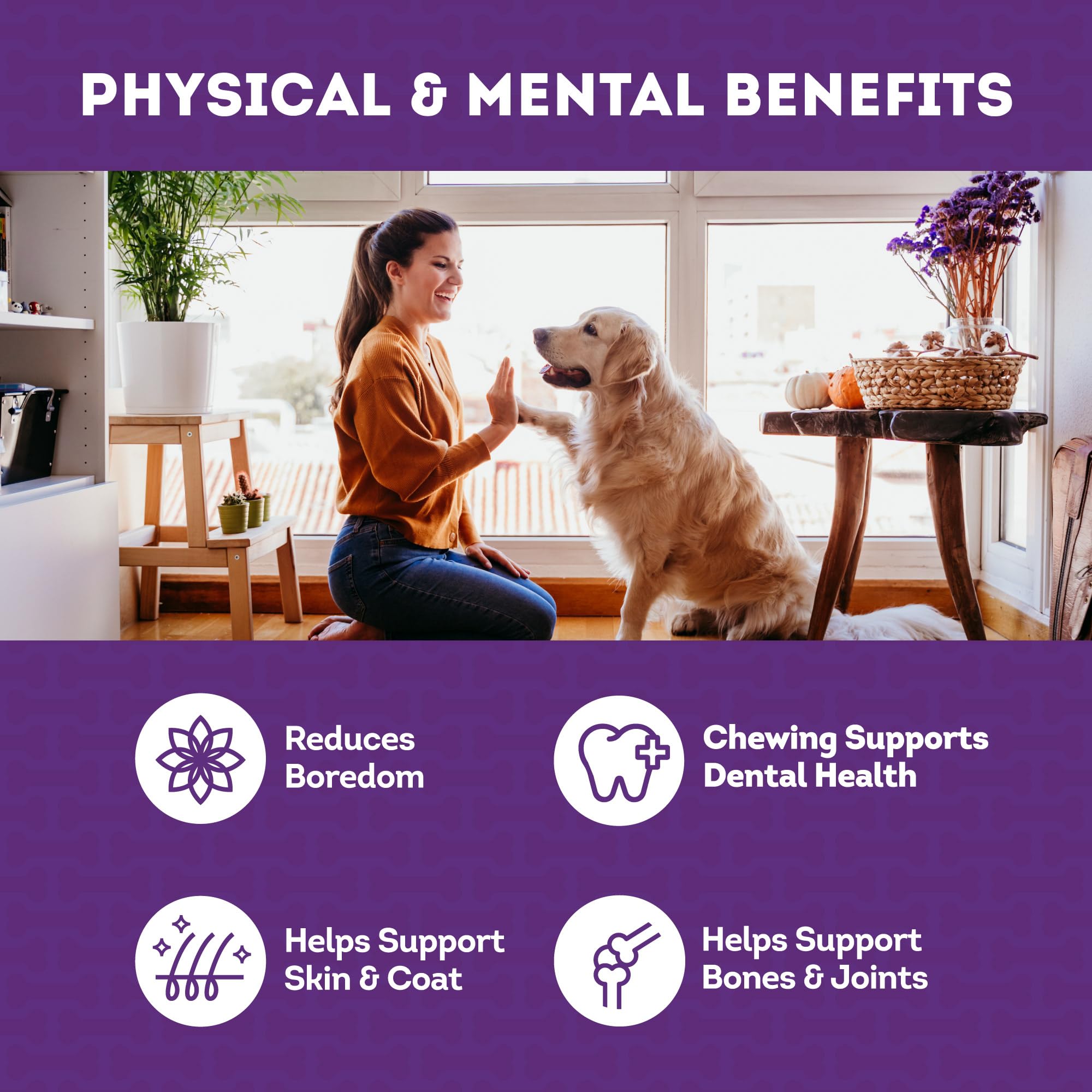 Sachet d emballage Treatly montrant le produit pour chien.