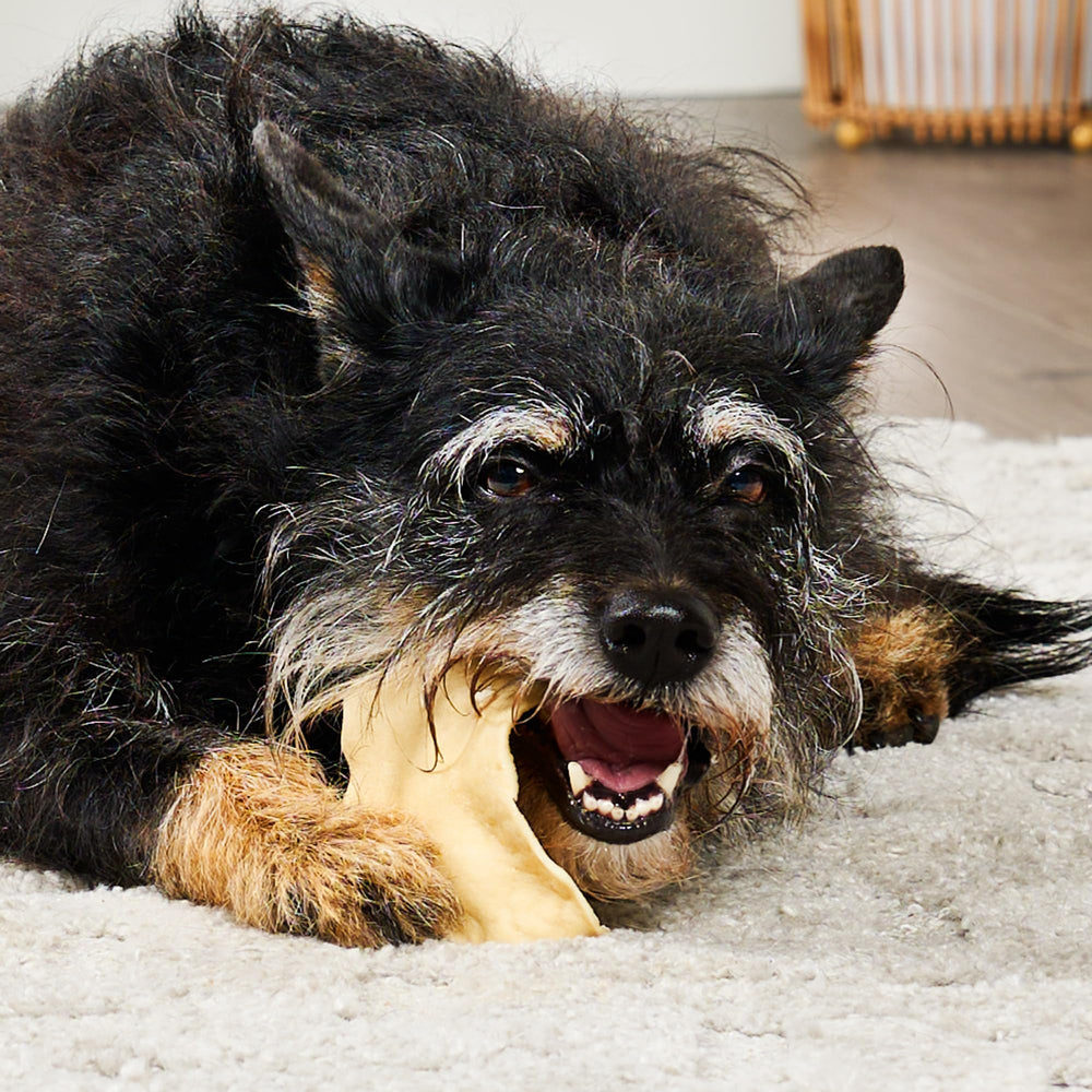 Treatly morceaux-masticables boeuf collagene – portions adaptées à tous les chiens