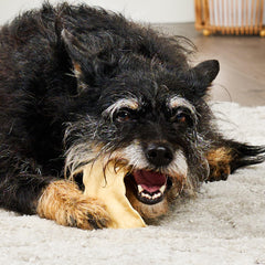 Treatly morceaux-masticables boeuf collagene – portions adaptées à tous les chiens