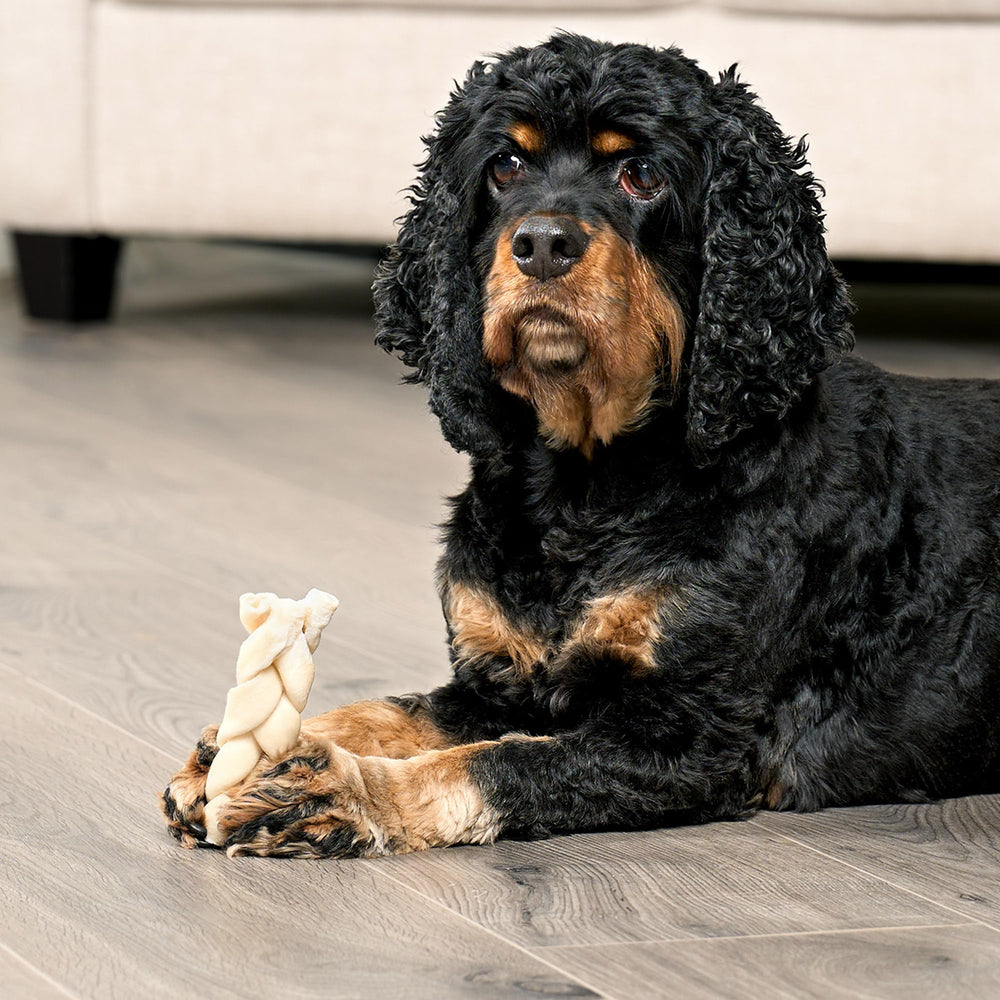 Treatly texture-croquante : texture satisfaisante qui occupe les chiens.