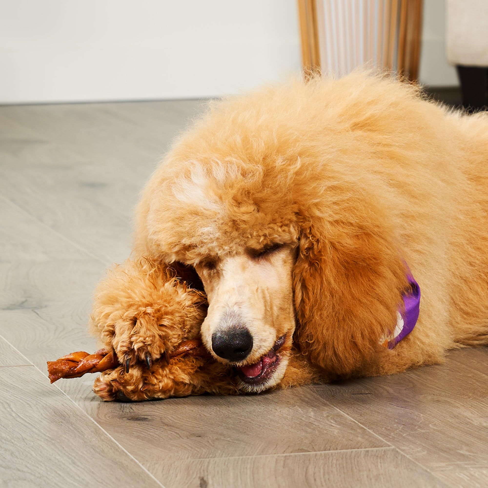 Tresse collagène Treatly pour chien, utilisation dentaire possible avec goût poulet