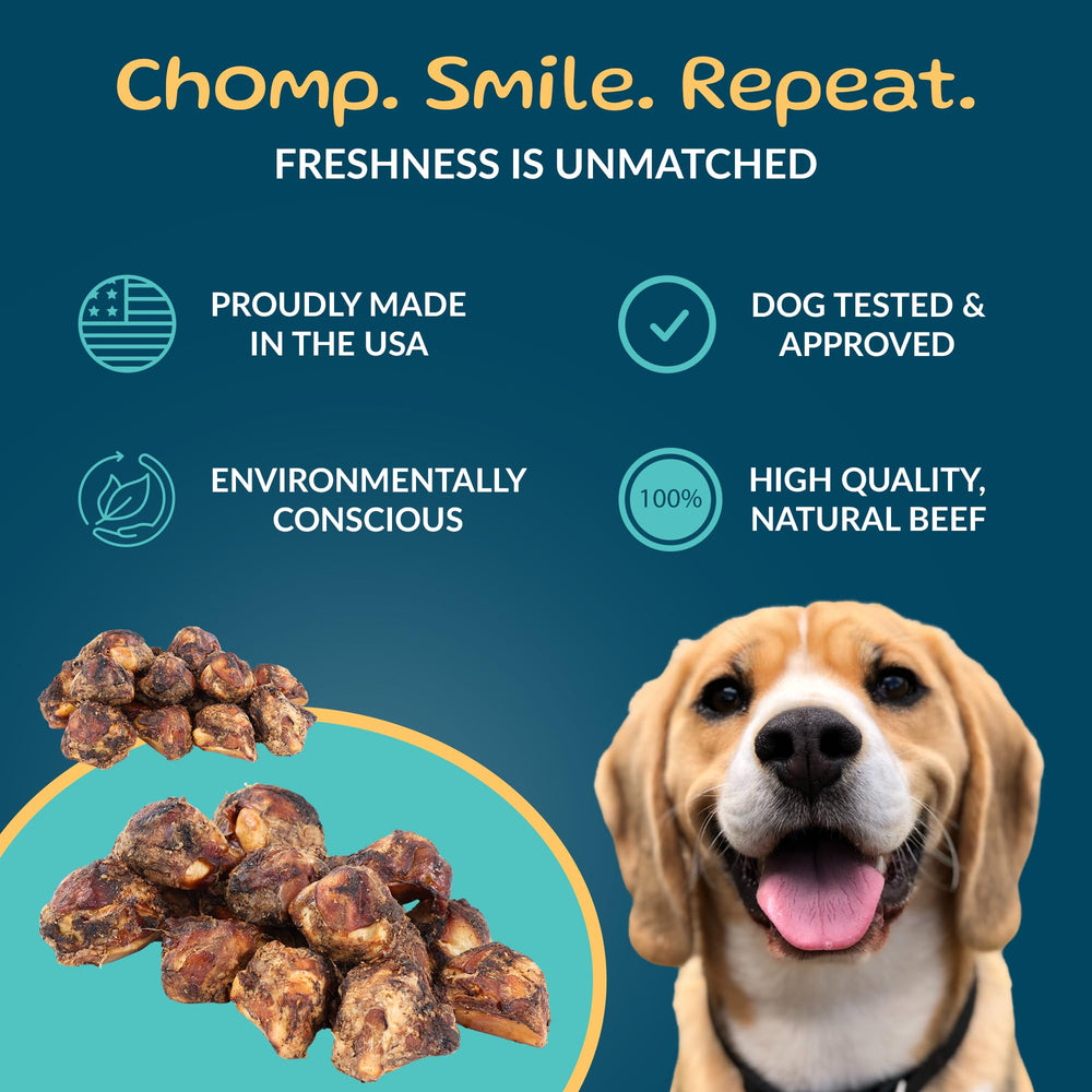 Treatopia os-genou-chien – récompense robuste et saine.