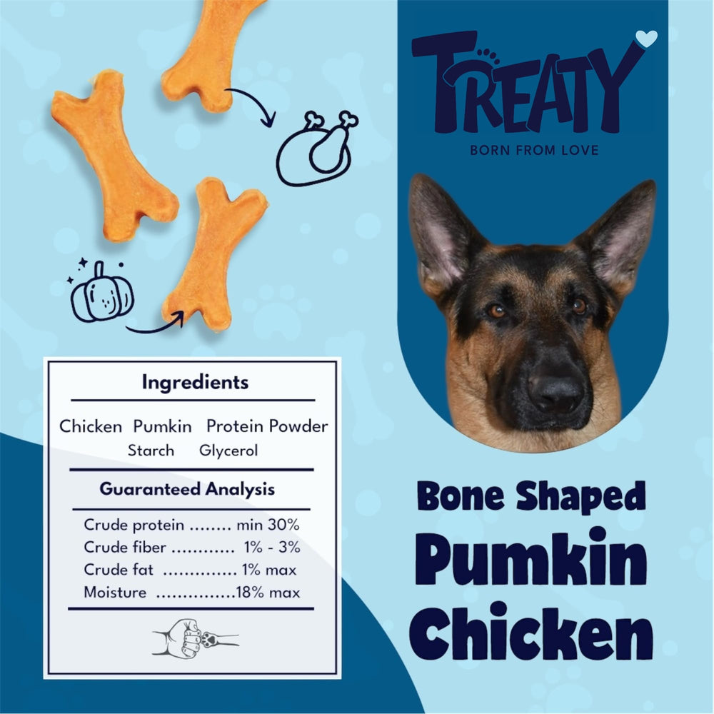 Purée de courge Treaty pour chien, texture naturelle et agréable