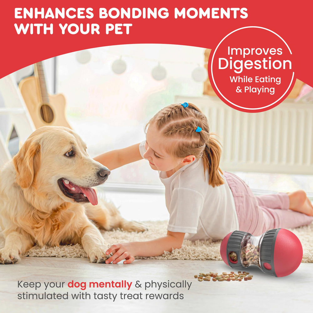 TRECKPET distributeur de croquettes pour chien récompense lente et engagement prolongé.