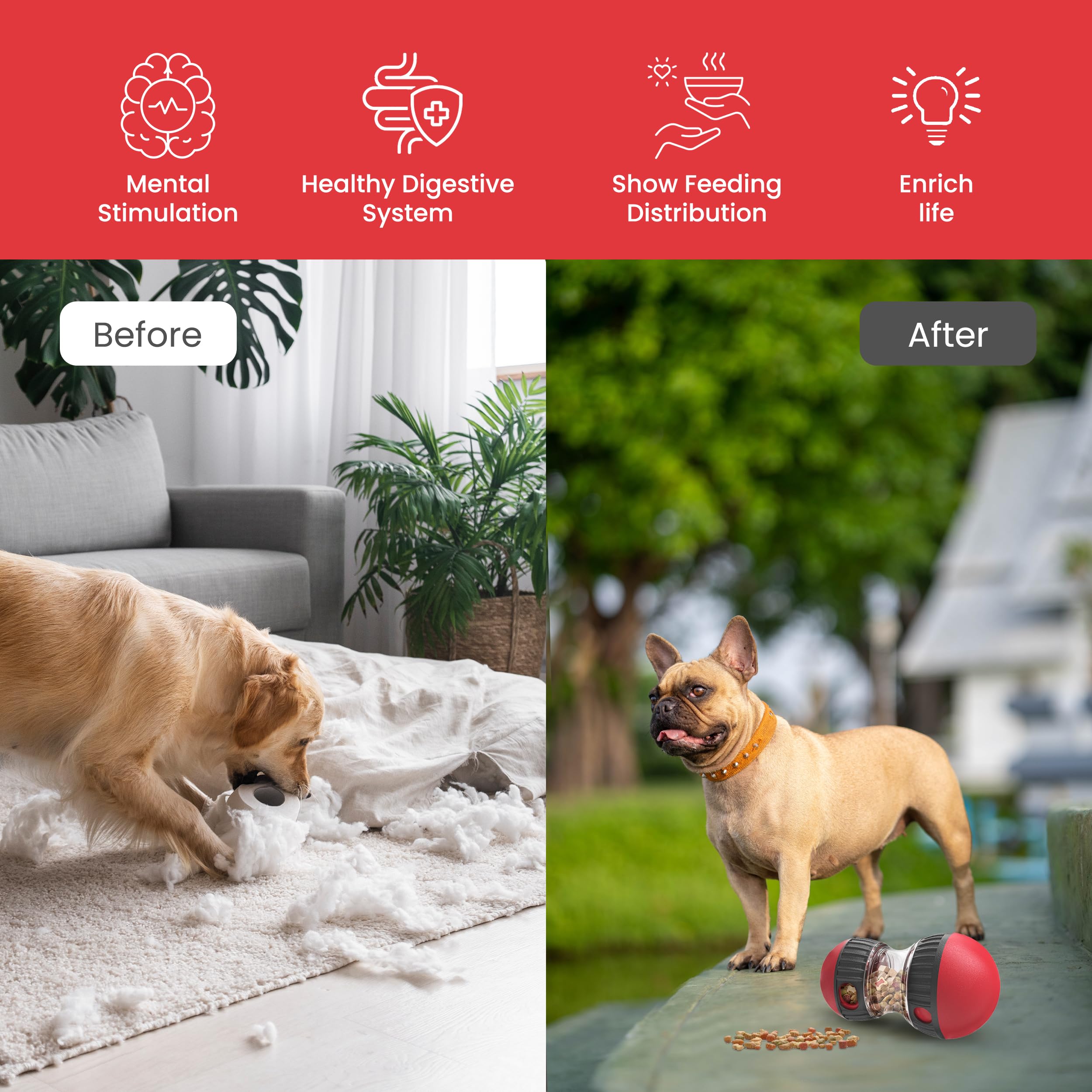 TRECKPET jouet facile à nettoyer pour chien prêt pour une nouvelle session.