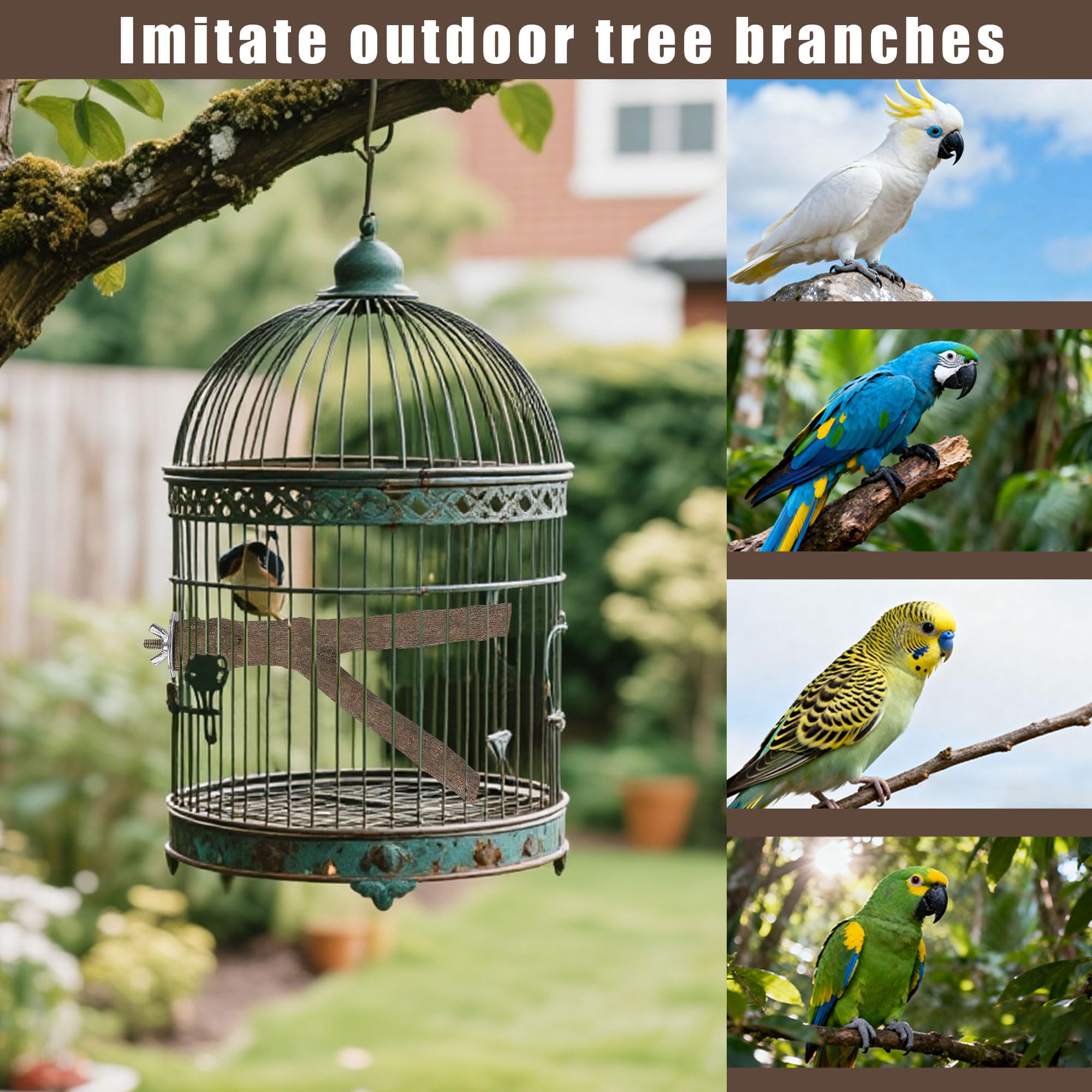 Treewoll perches durables pour cages actives et curiosité