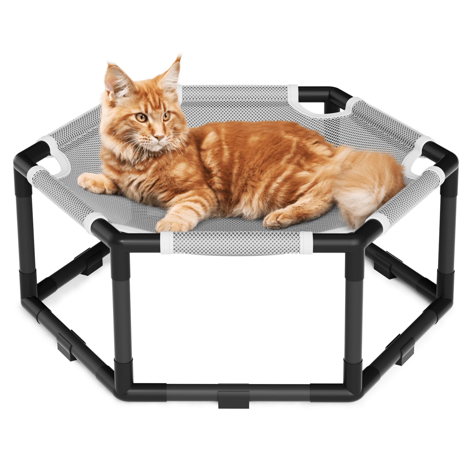 Tresbro hamac-chat hexagone élevé offre une grande surface pour étirer confortablement.