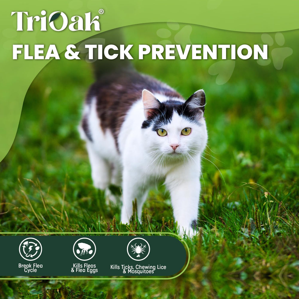 TriOak application topique sur le pelage du chat, utilisation pratique.