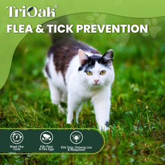 TriOak application topique sur le pelage du chat, utilisation pratique.