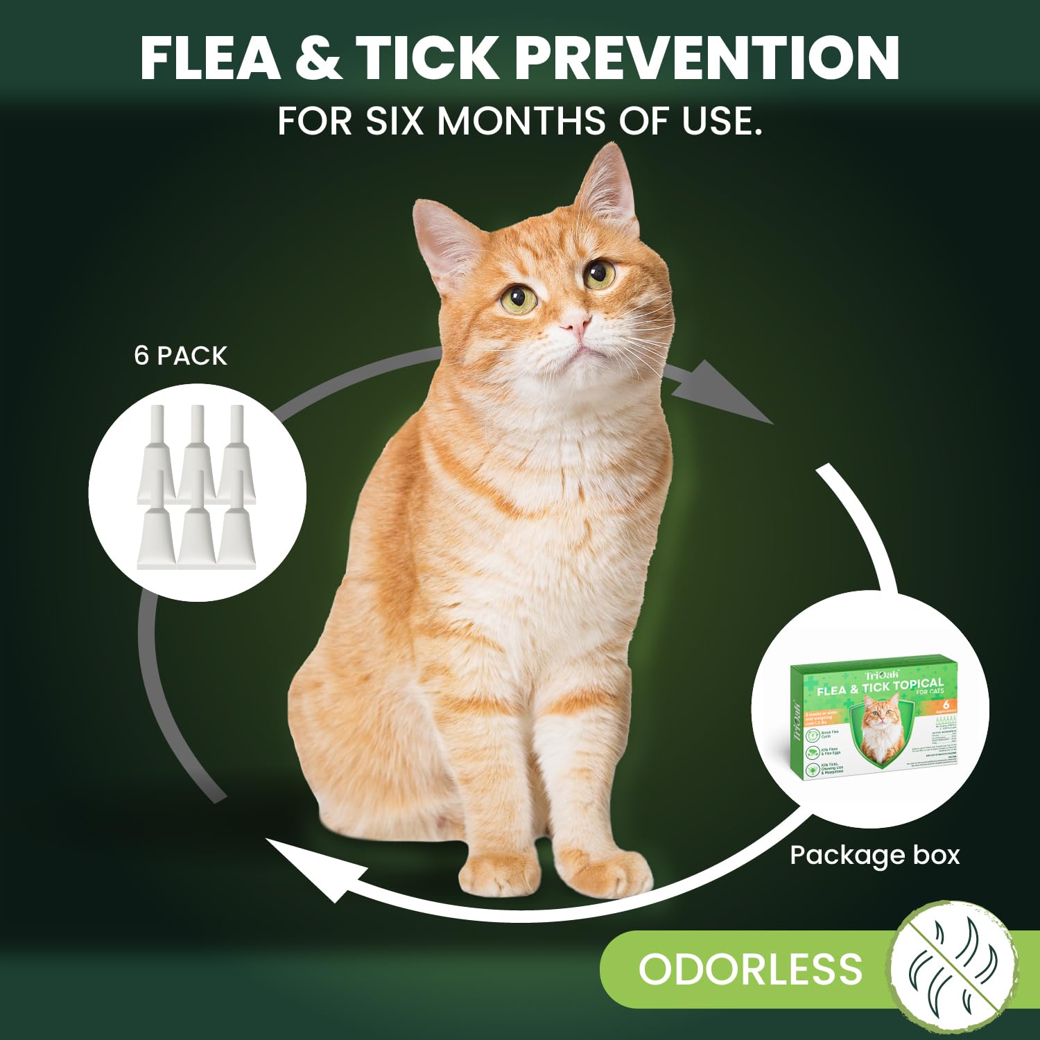 TriOak contrôle puces et tiques potentiels sur le pelage.