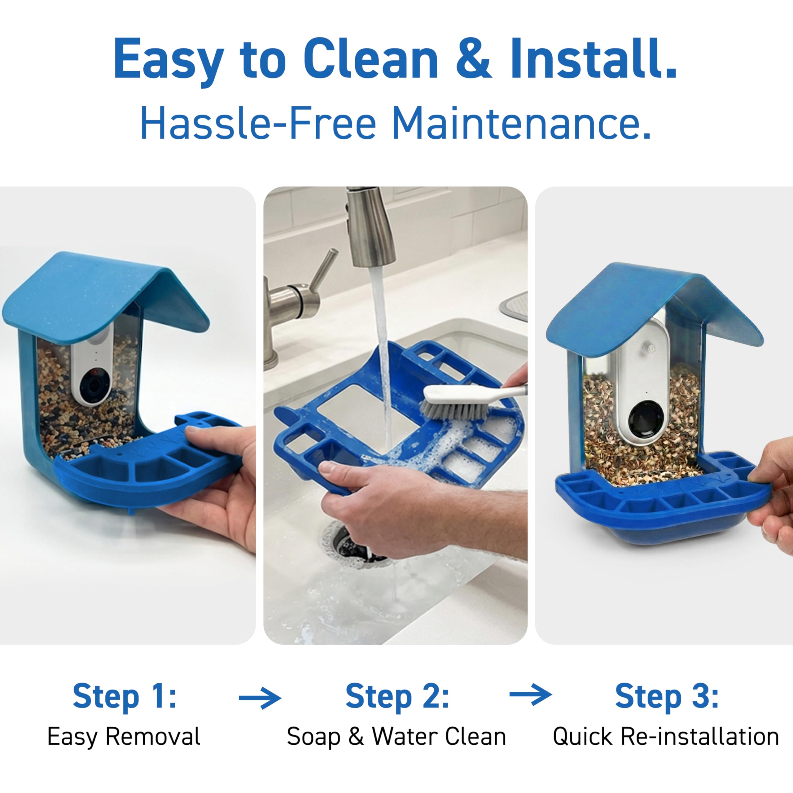 Tributary Brands Attire davantage d'oiseaux Bird Buddy, augmente la diversité d'espèces visitant le perchoir.