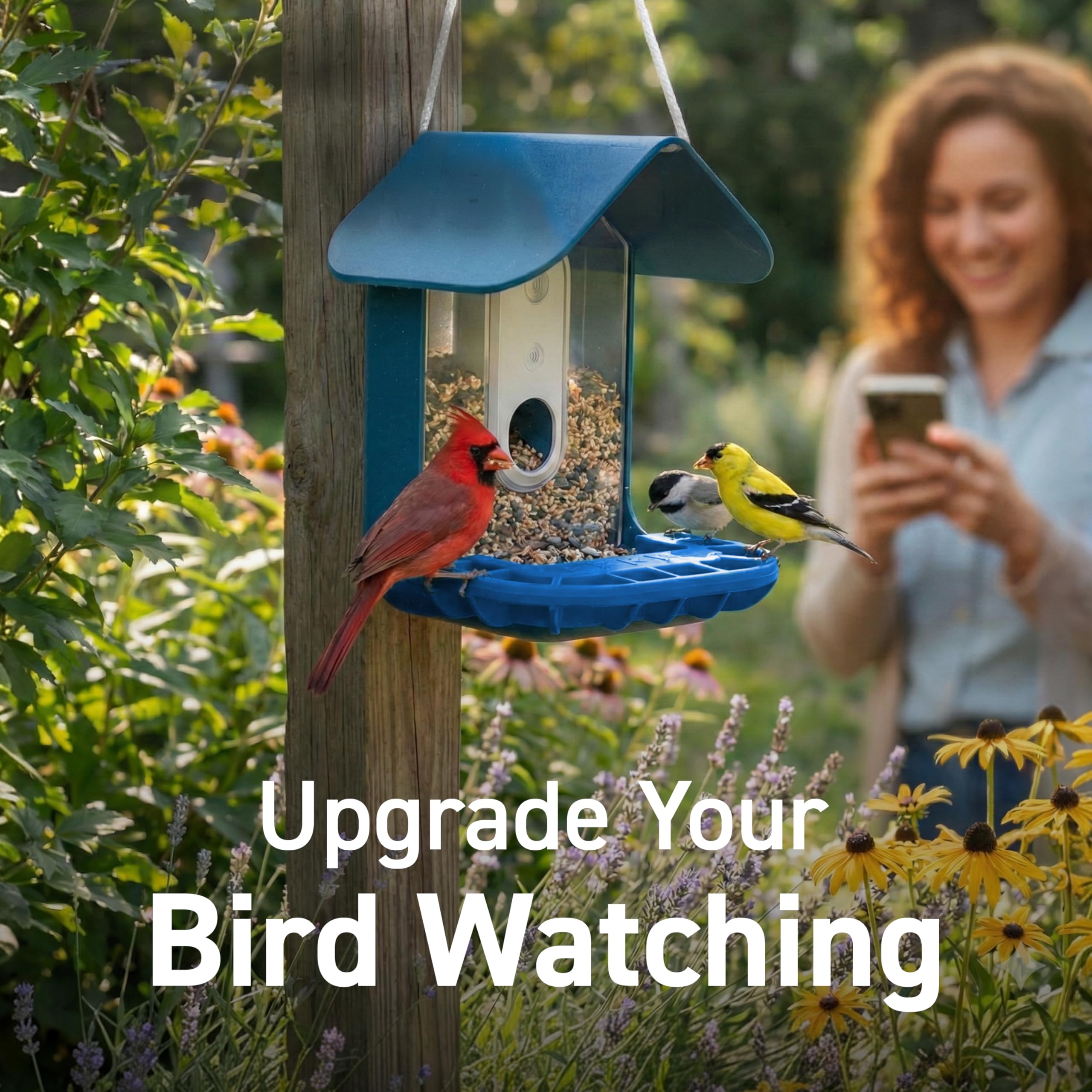 Tributary Brands Nettoyage lave-vaisselle Bird Buddy, entretien simple après observation.
