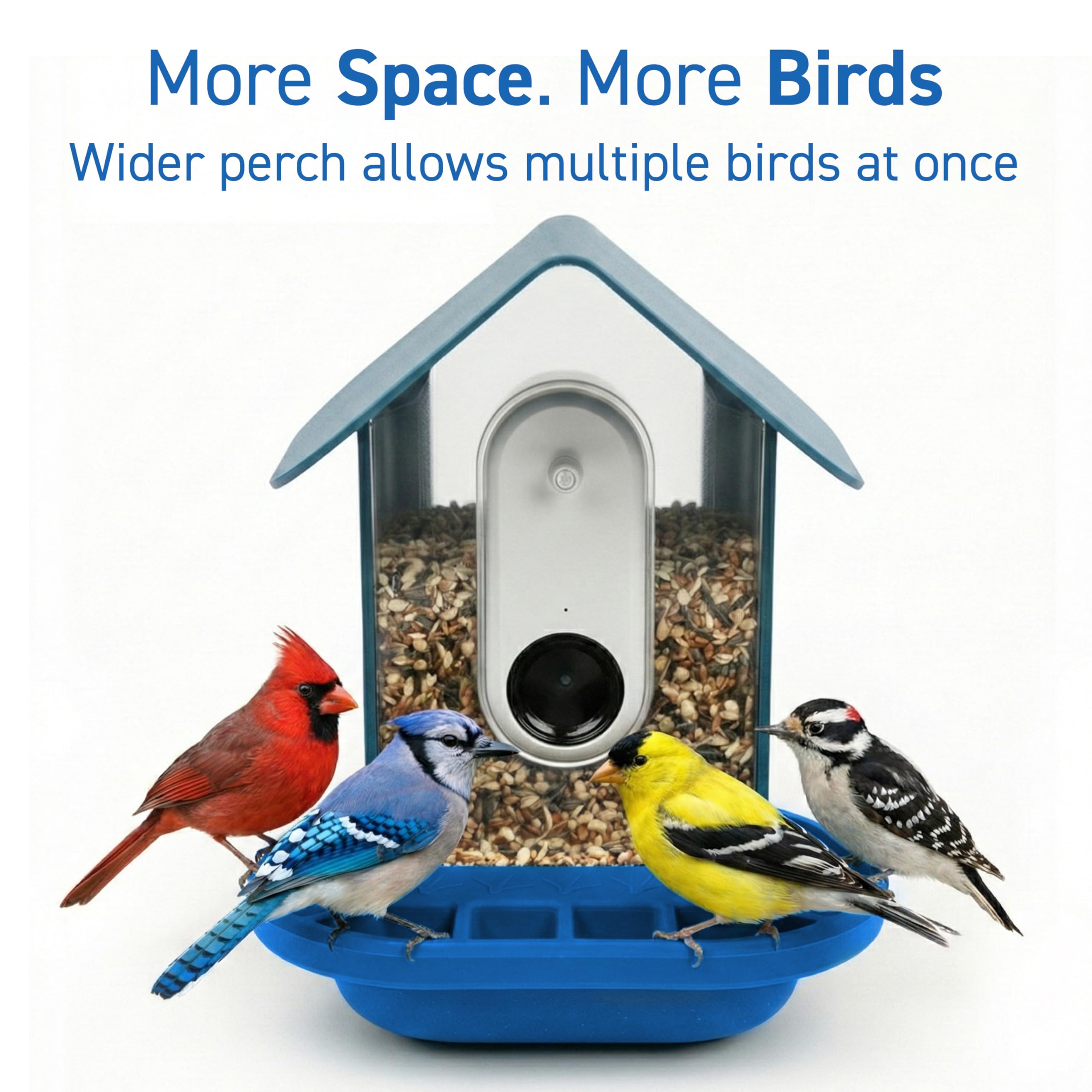 Tributary Brands Plateforme stable Bird Buddy, permet un pied sûr pour diverses espèces.