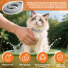 Trihood collier chat avec boucle durable, sécurité fiable