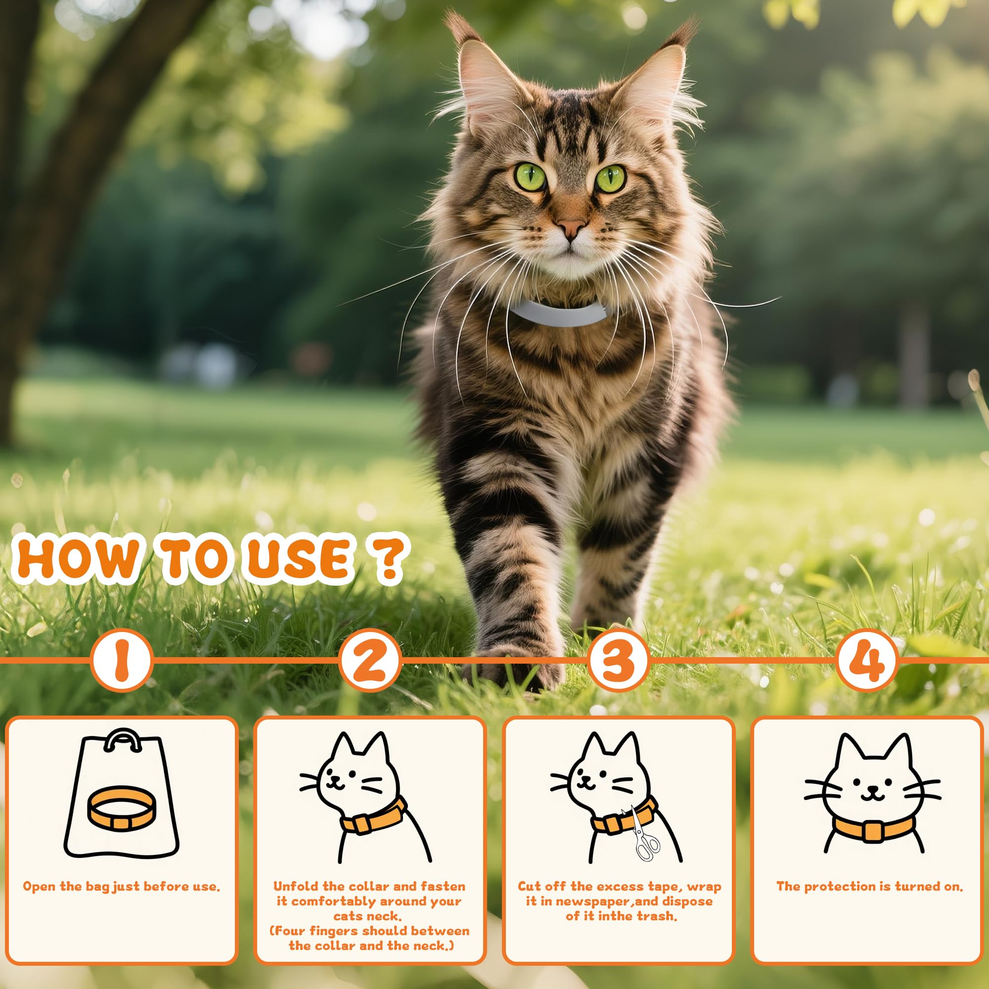 Trihood collier chat quotidien, sans residu gras